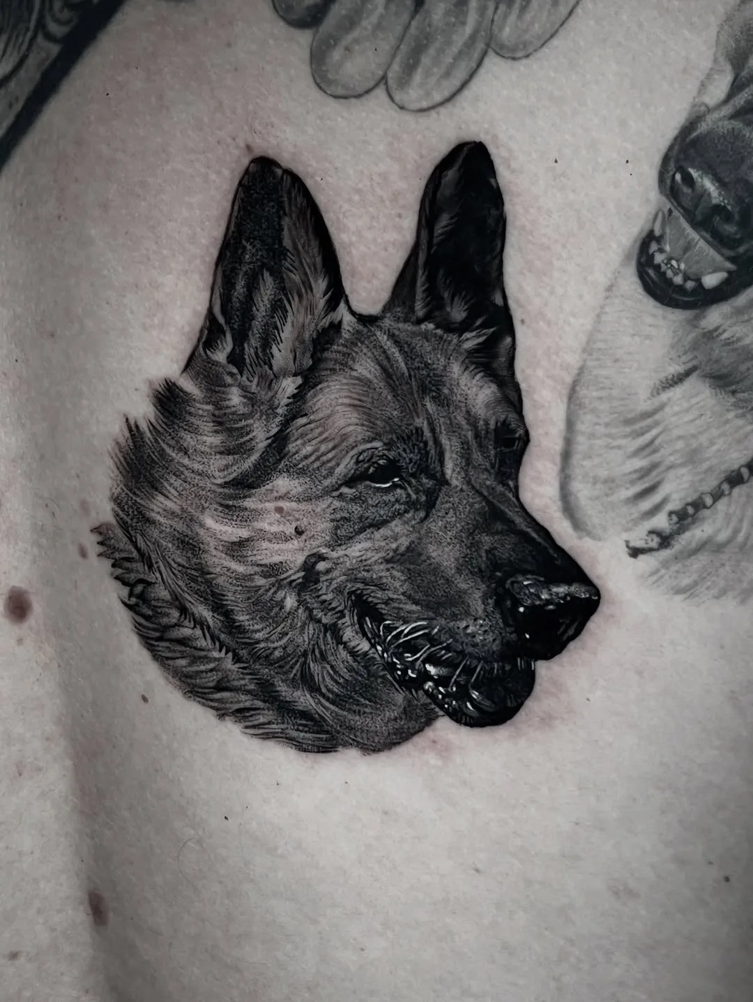 Realistic black and grey German Shepherd portrait tattoo