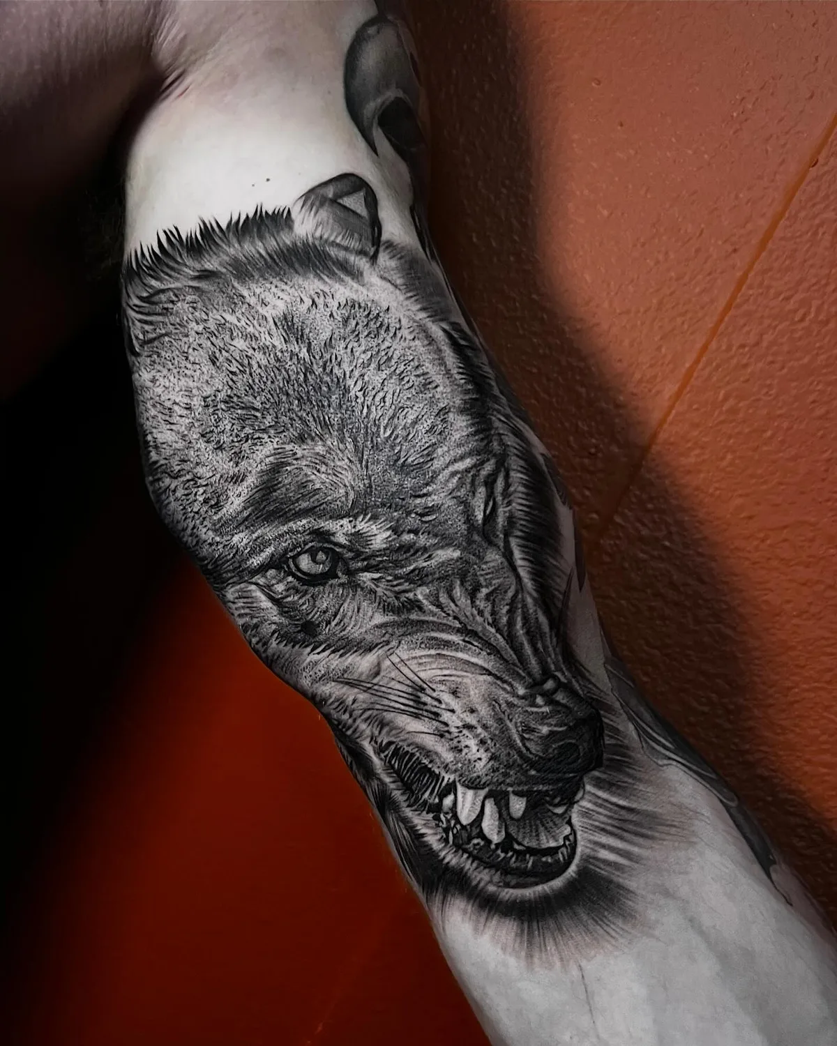 Realistic snarling wolf inner-arm tattoo in black and grey